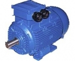 Электродвигатель АИР 112 МА6 3 кВт*1000 об/мин. (1081)